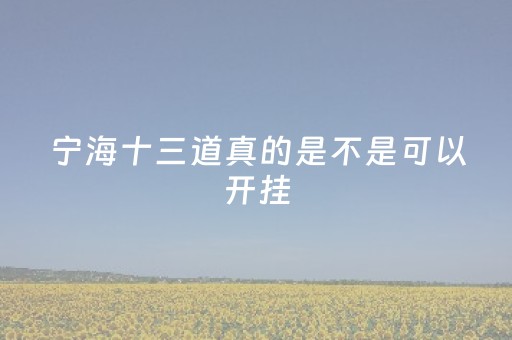 宁海十三道真的是不是可以开挂（宁海13道规则）