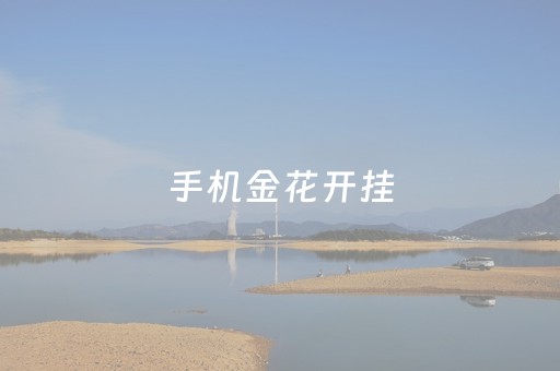 手机金花开挂（手机上打金花的挂）