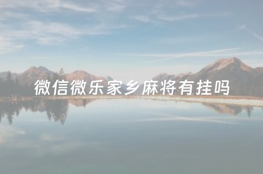 微信微乐家乡麻将有挂吗（微信微乐家乡麻将必赢）