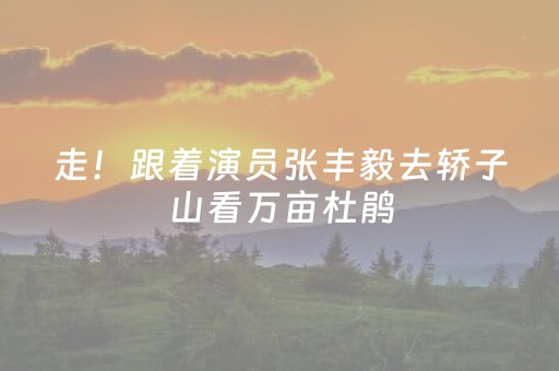 走！跟着演员张丰毅去轿子山看万亩杜鹃