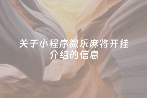 关于小程序微乐麻将开挂介绍的信息