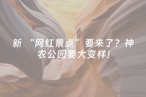 新 “网红景点”要来了？神农公园要大变样！
