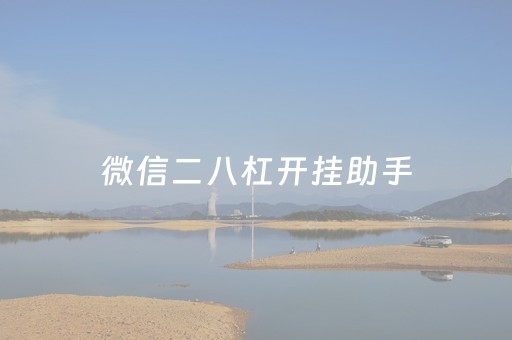 微信二八杠开挂助手（二八杠微信小游戏）