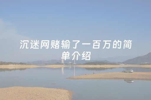 沉迷网赌输了一百万的简单介绍