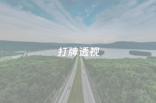 打牌透视（手机玩牌透视）