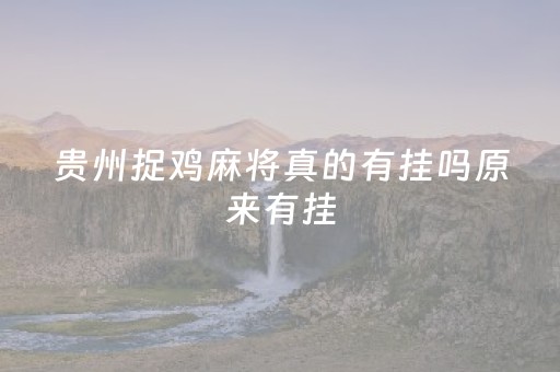 贵州捉鸡麻将真的有挂吗原来有挂（贵州捉鸡麻将牌型图解）