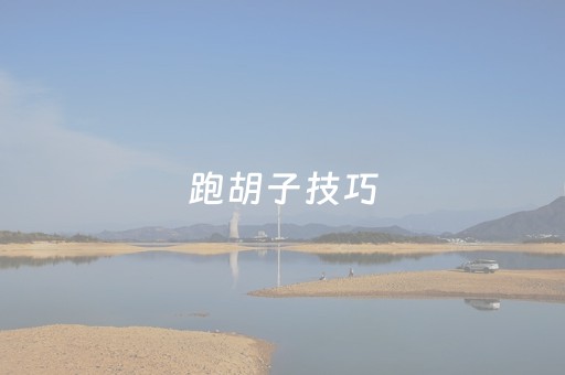 跑胡子技巧（跑胡子技巧十句口诀必胜技巧）