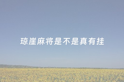 琼崖麻将是不是真有挂（琼崖麻将玩法战略）