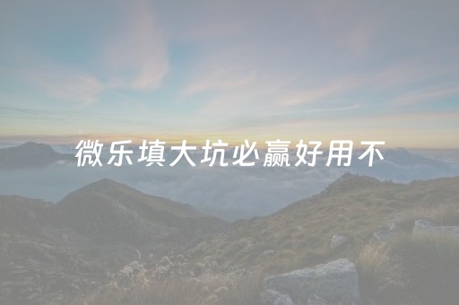 微乐填大坑必赢好用不（微信小程序微乐填大坑必赢）