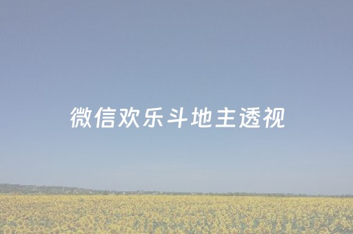 微信欢乐斗地主透视（微信欢乐斗地主万能透视）