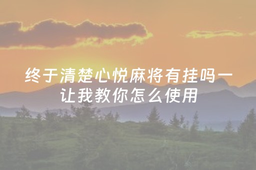 终于清楚心悦麻将有挂吗一让我教你怎么使用（心悦麻将的挂是真的吗）