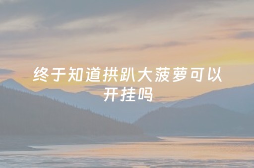 终于知道拱趴大菠萝可以开挂吗（拱趴大菠萝为什么一直输）