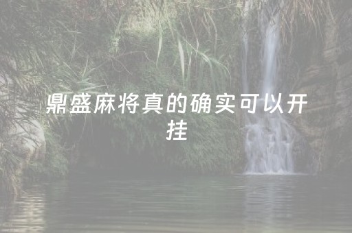 鼎盛麻将真的确实可以开挂（鼎盛麻业女装）