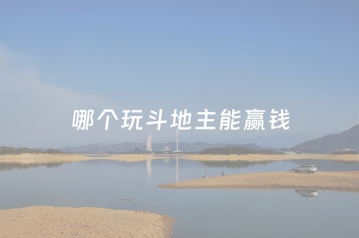 哪个玩斗地主能赢钱（哪个玩斗地主可以赚钱）