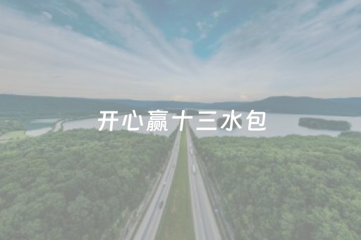 开心赢十三水包（开心十三张平台）