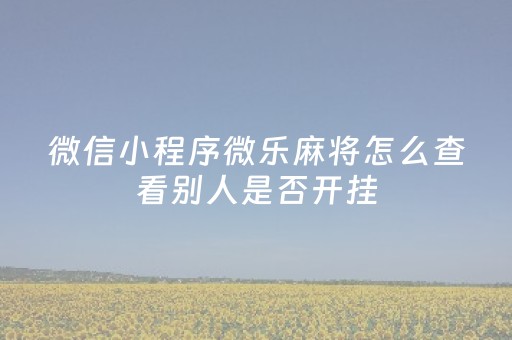 微信小程序微乐麻将怎么查看别人是否开挂（怎么检测微乐麻将开挂）