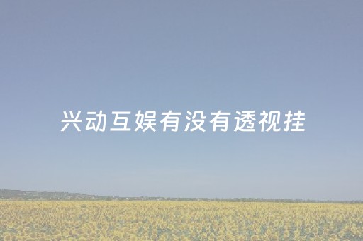 兴动互娱有没有透视挂（兴动互娱经销商）