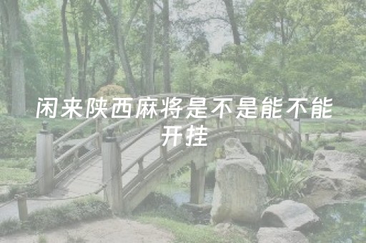 闲来陕西麻将是不是能不能开挂（陕西闲来麻将可以玩吗）
