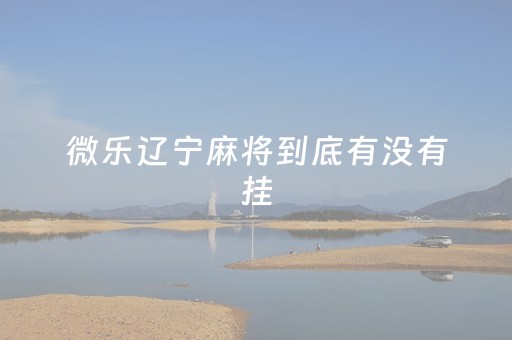 微乐辽宁麻将到底有没有挂（微乐辽宁斗地主到底有没有挂）