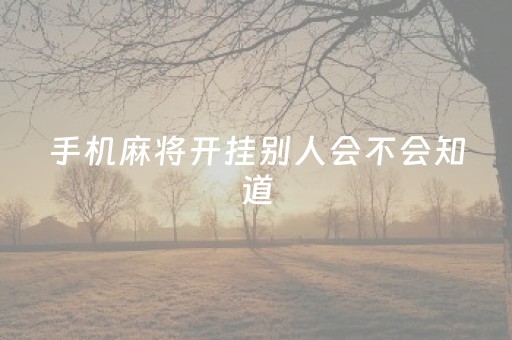 手机麻将开挂别人会不会知道（手机麻将开挂犯法吗?）