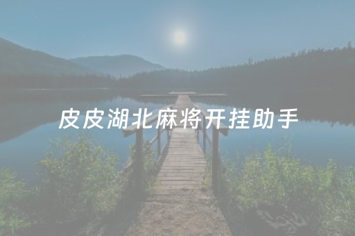 皮皮湖北麻将开挂助手（皮皮湖北麻将卡五星）