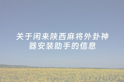 关于闲来陕西麻将外卦神器安装助手的信息