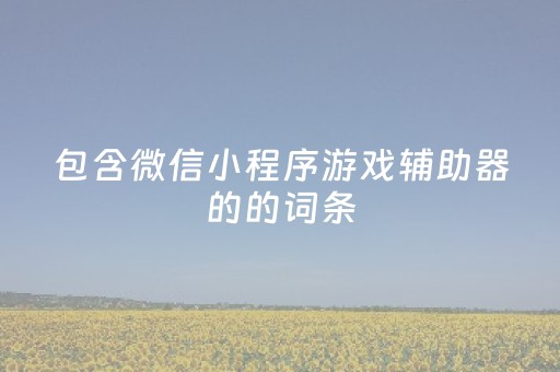 包含微信小程序游戏辅助器的的词条