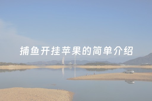 捕鱼开挂苹果的简单介绍