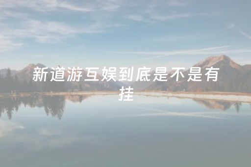 新道游互娱到底是不是有挂（新道游）
