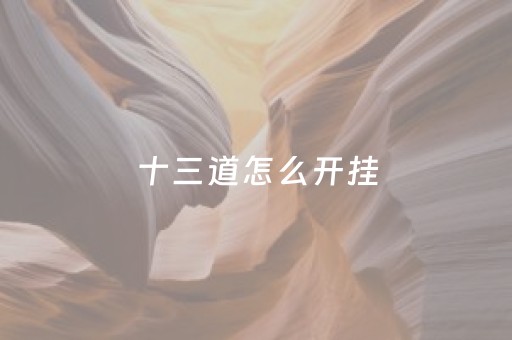 十三道怎么开挂（十三道有没有挂）