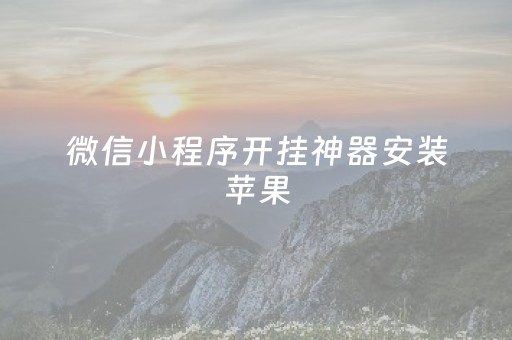 微信小程序开挂神器安装苹果（微信小程序开挂神器神手）