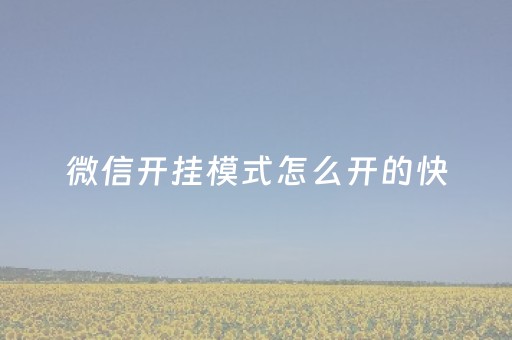 微信开挂模式怎么开的快（微信开挂有哪些功能）