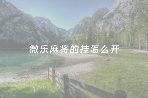 微乐麻将的挂怎么开（微乐麻将开挂方法）