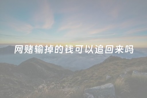 网赌输掉的钱可以追回来吗（网赌输的钱能追回吗?本站记者亲自体验解答）