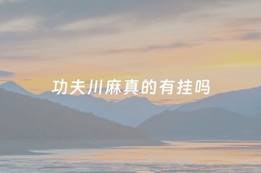 功夫川麻真的有挂吗（功夫川麻怎么开挂免费）