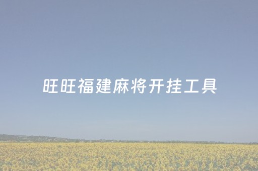 旺旺福建麻将开挂工具（旺旺闽南麻将怎么能赢）