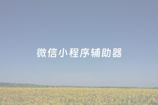 微信小程序辅助器（微信小程序辅助器怎么安装）