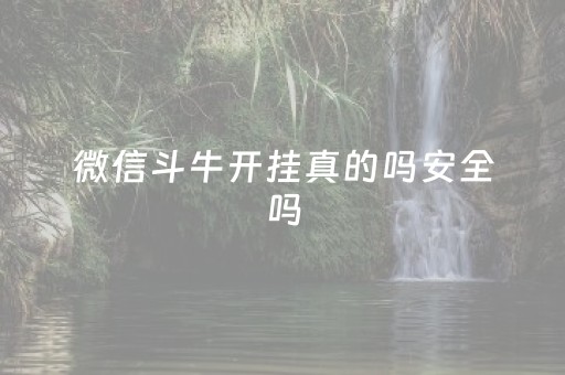 微信斗牛开挂真的吗安全吗（微信斗牛能透视是真的吗?）