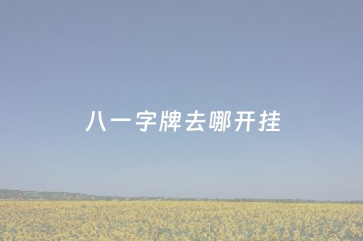 八一字牌去哪开挂（八一字牌）