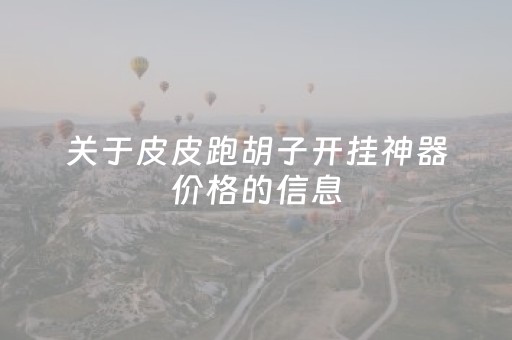 关于皮皮跑胡子开挂神器价格的信息（皮皮跑胡子能开挂吗）
