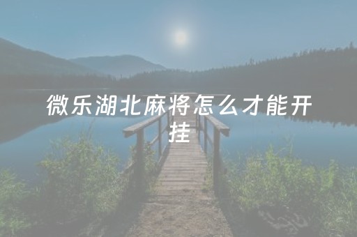 微乐湖北麻将怎么才能开挂（微乐湖北麻将怎么开挂教程）