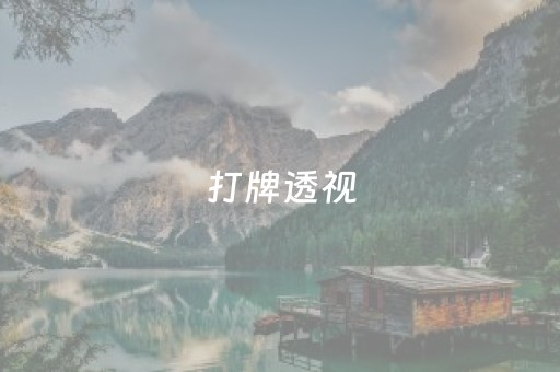 打牌透视（手机打牌透视挂）