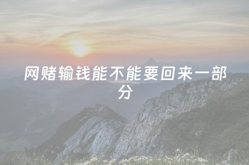 网赌输钱能不能要回来一部分（网赌输得钱可以追回吗?）