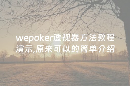 wepoker透视器方法教程演示,原来可以的简单介绍