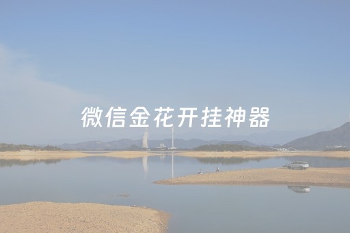 微信金花开挂神器（微信上打金花怎么可以开挂）