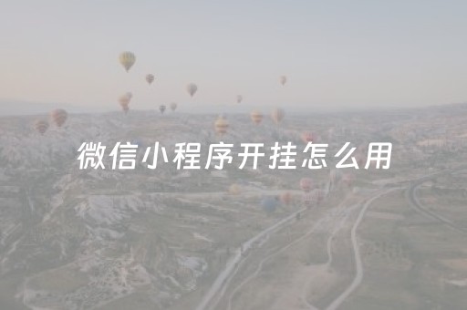 微信小程序开挂怎么用（微信小程序如何开挂）