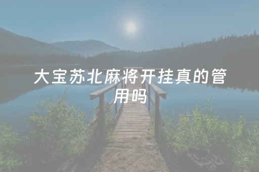 大宝苏北麻将开挂真的管用吗（大宝苏北麻将群）