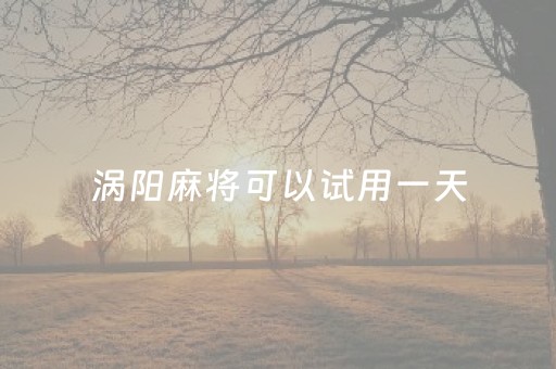 涡阳麻将可以试用一天（涡阳麻将控制）