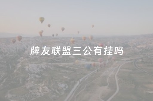 牌友联盟三公有挂吗（牌友联盟老板）