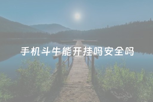 手机斗牛能开挂吗安全吗（手机斗牛怎么开挂免费）